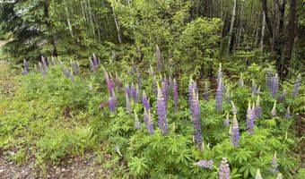 62 Black Dog Rd, Ashland, ME 04732