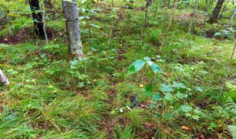 Double Bend Road, Argonne, WI 54511