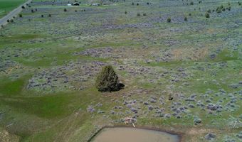 848 County Rd, Adin, CA 96006