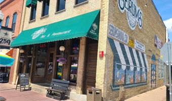 821 Adams St, Anoka, MN 55303