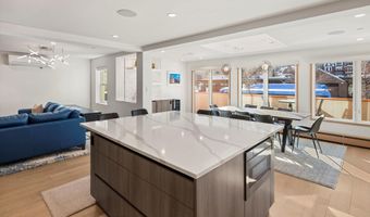 447 E Cooper Ave 1, Aspen, CO 81611