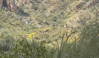 240 S Alley Rd, Ajo, AZ 85321