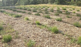 3152 Siskiyou Blvd, Ashland, OR 97520