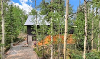 227 Roberts Rd, Alma, CO 80420