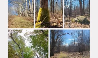 Crescent Hill Lane, Andes, NY 13731