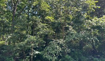 18781 Private Drive 1145, Ava, MO 65608