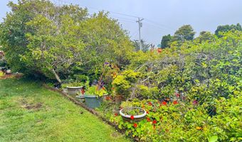 1029 FIFIELD St, Brookings, OR 97415