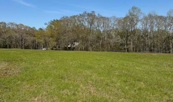 2584 County Road 6647, Banks, AL 36005