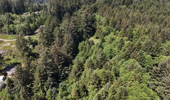 20452 Whaleshead Rd, Brookings, OR 97415