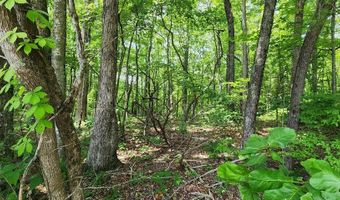 20 Bluff View Loop, Allardt, TN 38504