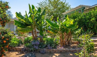 1611 Hillcrest, Fallbrook, CA 92028