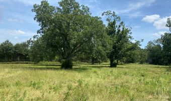 1 County Road 91, Banks, AL 36005