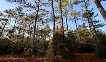 0 King Ln, Bay Minette, AL 36507