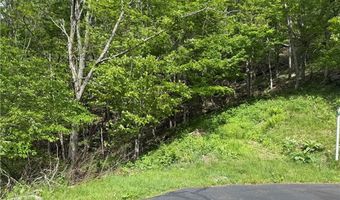 19 Wakeman Way, Banner Elk, NC 28604