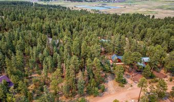 6 Co Rd 2074, Alpine, AZ 85920