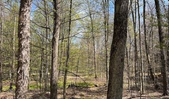 106 Road, Alma, NY 14708