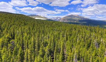 2221 Kootchie Kootchie Rd Lot 0, Alma, CO 80420