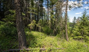 965 Trails End Rd, Athol, ID 83801