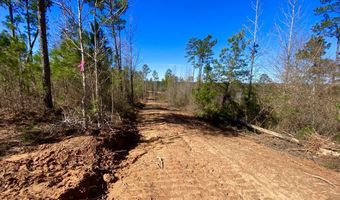 Adams Road - 1 & 2, Bankston, AL 35542