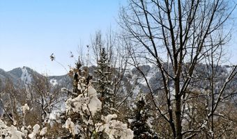 155 Lone Pine - River Blf #C2, Aspen, CO 81611