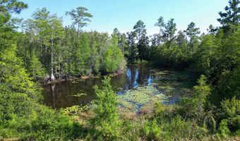 NW County Road 274, Altha, FL 32421