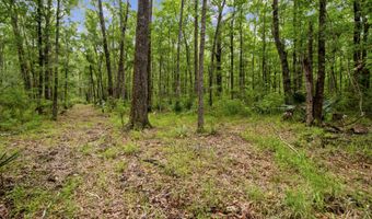 4848 Woodville Rd, Awendaw, SC 29429