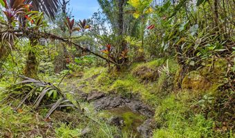 29-2828 KAIWIKI HOMESTEAD Rd, Hakalau, HI 96710