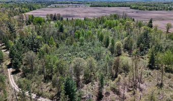 La Grant Road, Alger, MI 48610