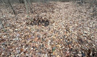 TBD1 E Willow Rd, Bloomfield, IN 47424