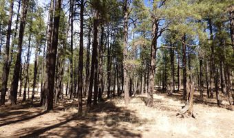8 B County Road 2267 Escudilla Rd, Alpine, AZ 85920