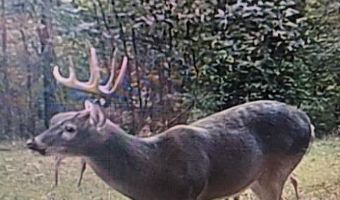 001 Farr Rd, Bolton, MS 39041