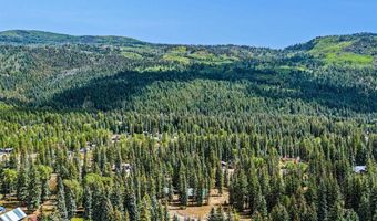 11 Ponderosa Homes Dr, Bayfield, CO 81122