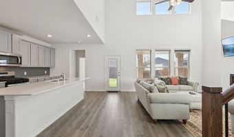 2209 Sue Ellen St, Anna, TX 75409