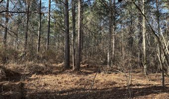 1106 LONGLEAF Way, Lincolnton, GA 30817