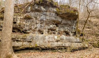 County Road 19-A, Alton, MO 65606