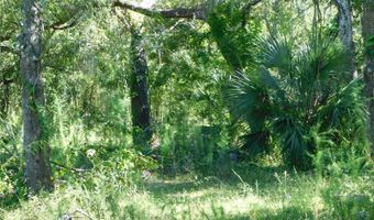 2221 NW PINE VIEW Rd, Arcadia, FL 34266