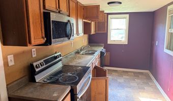 125 Little Tiger Ln, Beaver, WV 25813