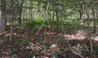 9 AC Lily Dale Rd, Allons, TN 38541