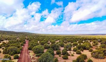 Tbd Co Rd 8256 Lot E 10 Acres, Concho, AZ 85924
