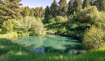 1062 Johnny Martinez Trl, Bozeman, MT 59715