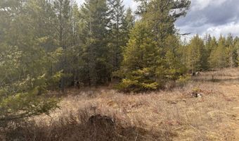 NKA E Lowland Drive, Athol, ID 83801