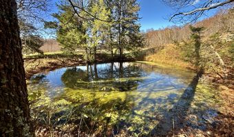 1520 Brittontown Rd, Afton, TN 37616