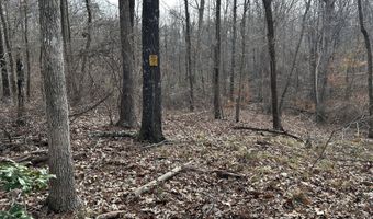 Highway 105, Baldwin, GA 30511