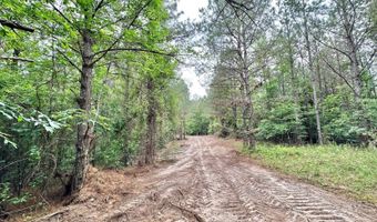 3 County Road 5112, Ethel, MS 38829