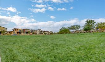 501 Red Lovebird Ave, Henderson, NV 89011