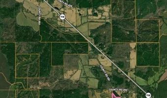 217 281, Banner, MS 38913