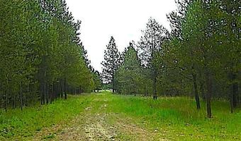 NKA HWY 95, Athol, ID 83801