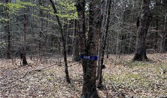 State Highway 30, Andes, NY 13731