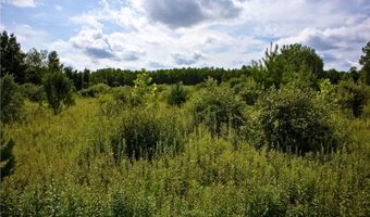 VL 104th Avenue, Allegan, MI 49010