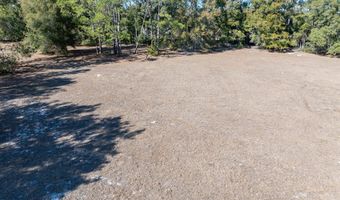 County Road 236 lot 2, Bell, FL 32619